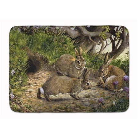 Carolines Treasures Carolines Treasures BDBA0136RUG Rabbits & the Rabbit Hole Machine Washable Memory Foam Mat BDBA0136RUG